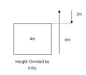 model-method-questions-and-answers-142